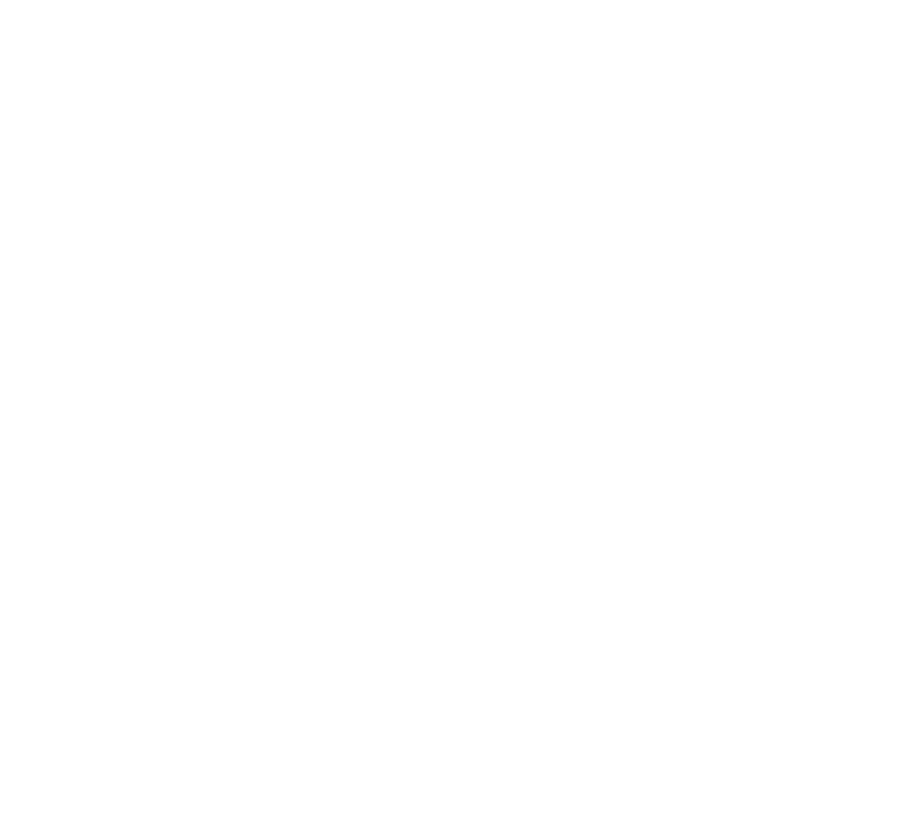 Studio Piñata logo animation